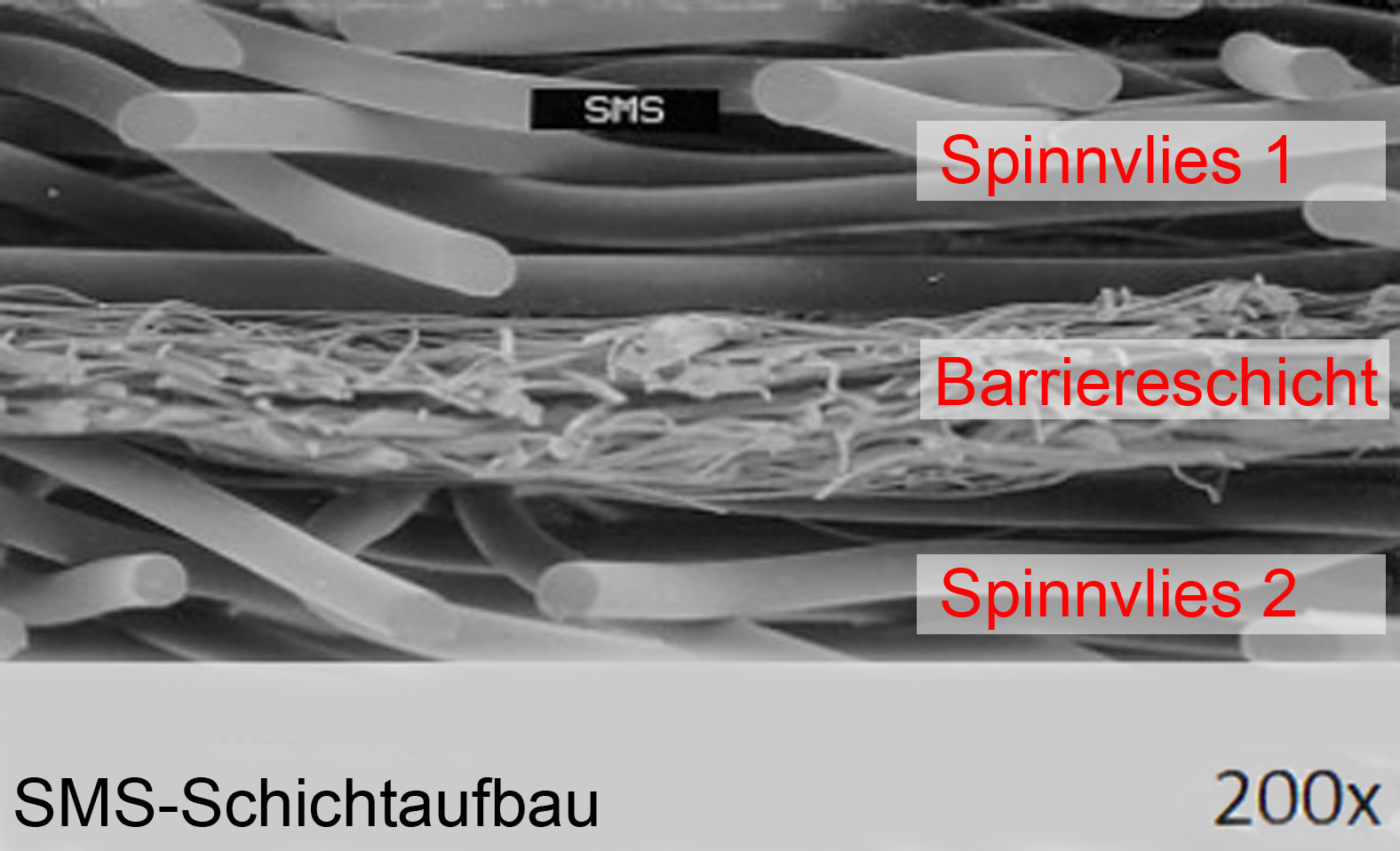 Aufbau SMS Material | Guido Maik Consulting